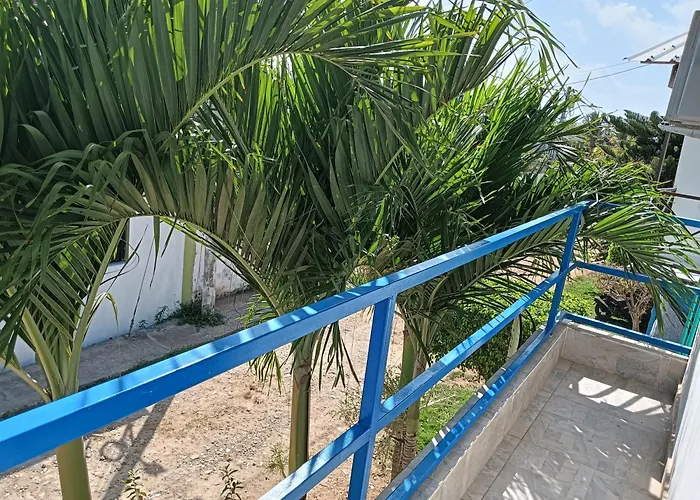Rocky Palms